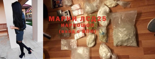 ECSTASY Липки