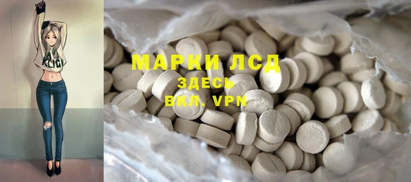 ECSTASY Липки