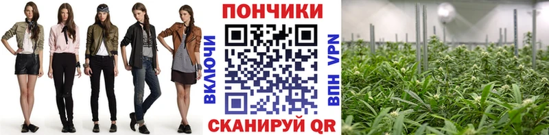 Каннабис планчик Обнинск